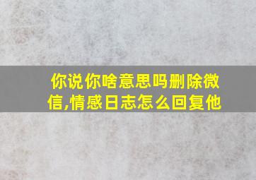 你说你啥意思吗删除微信,情感日志怎么回复他