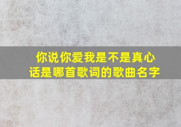 你说你爱我是不是真心话是哪首歌词的歌曲名字