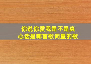 你说你爱我是不是真心话是哪首歌词里的歌