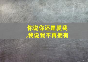 你说你还是爱我,我说我不再拥有