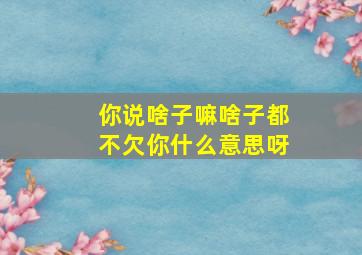 你说啥子嘛啥子都不欠你什么意思呀