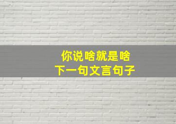 你说啥就是啥下一句文言句子