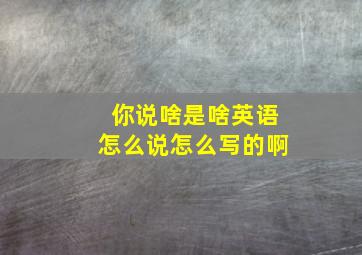 你说啥是啥英语怎么说怎么写的啊