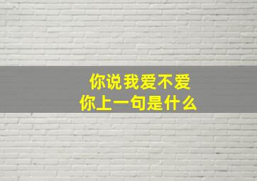 你说我爱不爱你上一句是什么