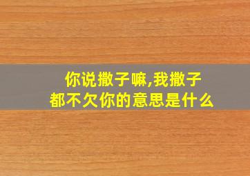 你说撒子嘛,我撒子都不欠你的意思是什么