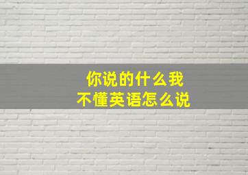 你说的什么我不懂英语怎么说