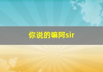 你说的嘛阿sir