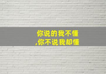 你说的我不懂,你不说我却懂