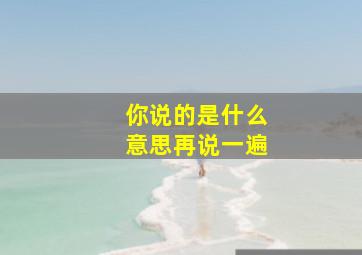 你说的是什么意思再说一遍