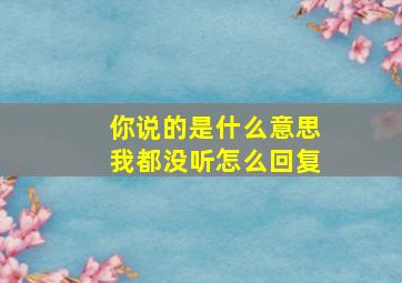 你说的是什么意思我都没听怎么回复