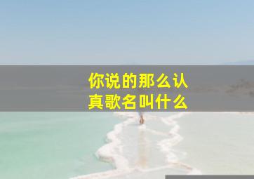 你说的那么认真歌名叫什么