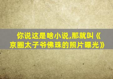 你说这是啥小说,那就叫《京圈太子爷佛珠的照片曝光》