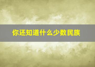 你还知道什么少数民族