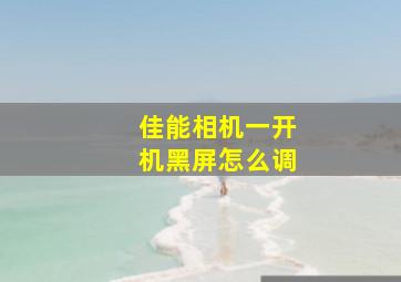 佳能相机一开机黑屏怎么调