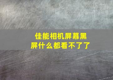 佳能相机屏幕黑屏什么都看不了了