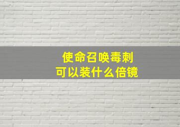 使命召唤毒刺可以装什么倍镜