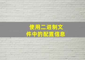 使用二进制文件中的配置信息