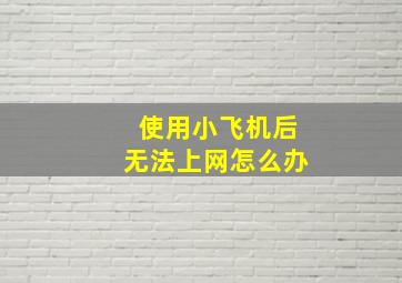 使用小飞机后无法上网怎么办