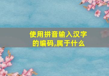 使用拼音输入汉字的编码,属于什么