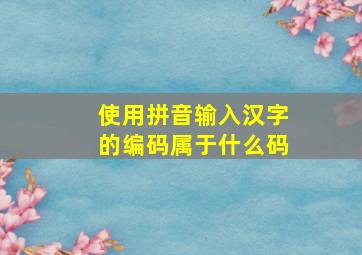 使用拼音输入汉字的编码属于什么码