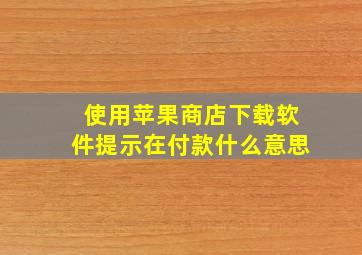 使用苹果商店下载软件提示在付款什么意思