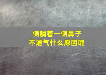 侧躺着一侧鼻子不通气什么原因呢