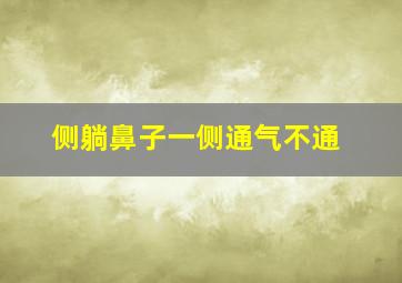 侧躺鼻子一侧通气不通