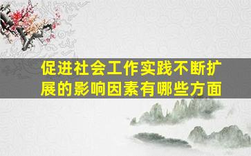 促进社会工作实践不断扩展的影响因素有哪些方面