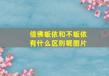 信佛皈依和不皈依有什么区别呢图片