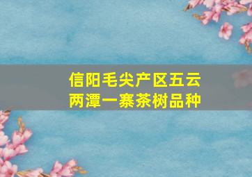 信阳毛尖产区五云两潭一寨茶树品种