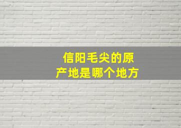 信阳毛尖的原产地是哪个地方