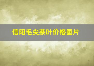 信阳毛尖茶叶价格图片