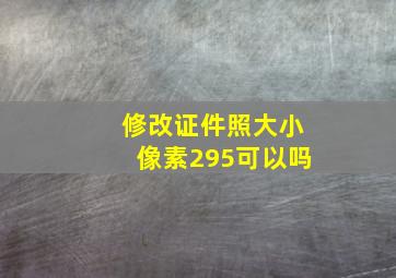 修改证件照大小像素295可以吗