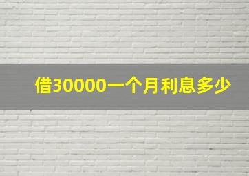 借30000一个月利息多少