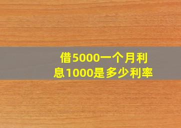 借5000一个月利息1000是多少利率