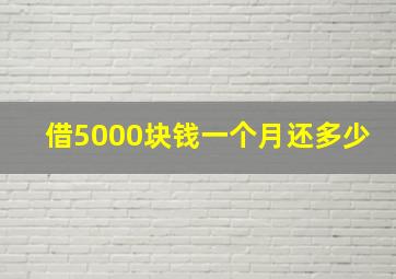 借5000块钱一个月还多少