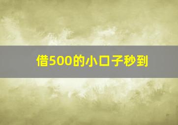 借500的小口子秒到