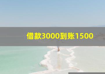 借款3000到账1500