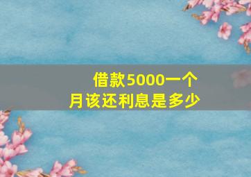 借款5000一个月该还利息是多少