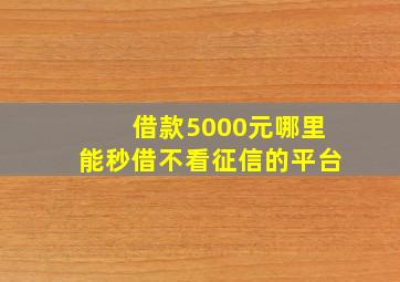 借款5000元哪里能秒借不看征信的平台