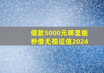 借款5000元哪里能秒借无视征信2024