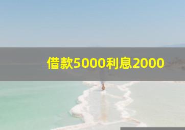 借款5000利息2000