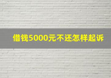 借钱5000元不还怎样起诉