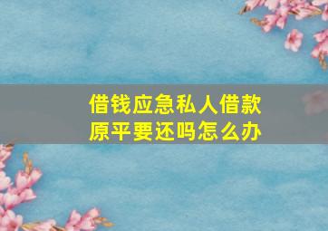 借钱应急私人借款原平要还吗怎么办