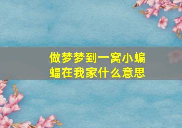 做梦梦到一窝小蝙蝠在我家什么意思