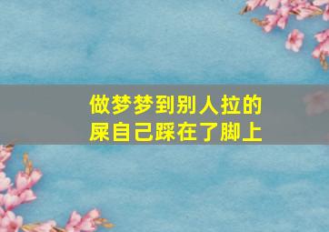 做梦梦到别人拉的屎自己踩在了脚上