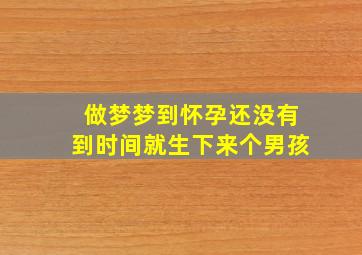 做梦梦到怀孕还没有到时间就生下来个男孩