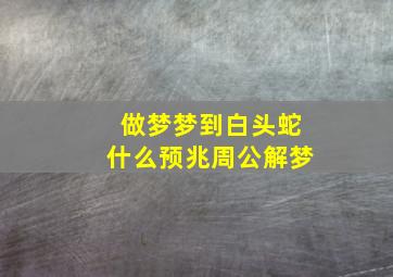 做梦梦到白头蛇什么预兆周公解梦