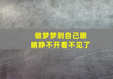 做梦梦到自己眼睛睁不开看不见了