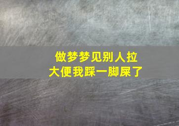 做梦梦见别人拉大便我踩一脚屎了